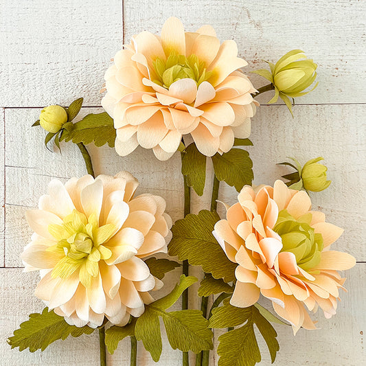 Peaches & Dreams Dahlia Crepe Paper Flower Kit image 1