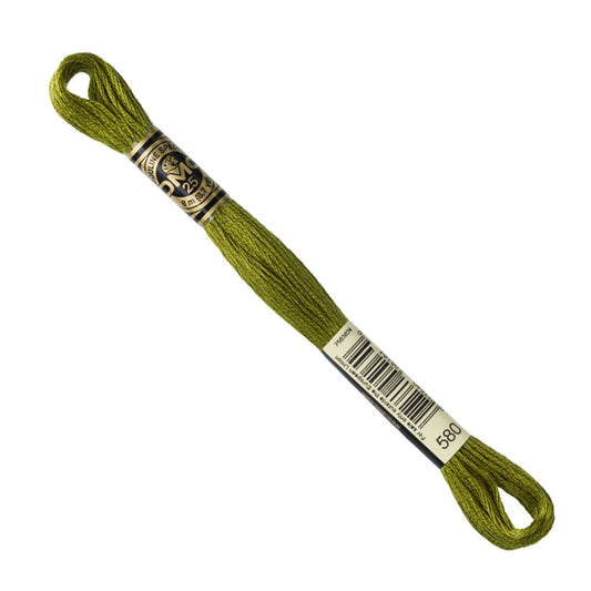 DMC Embroidery Floss - Dark Moss Green 580 image 1