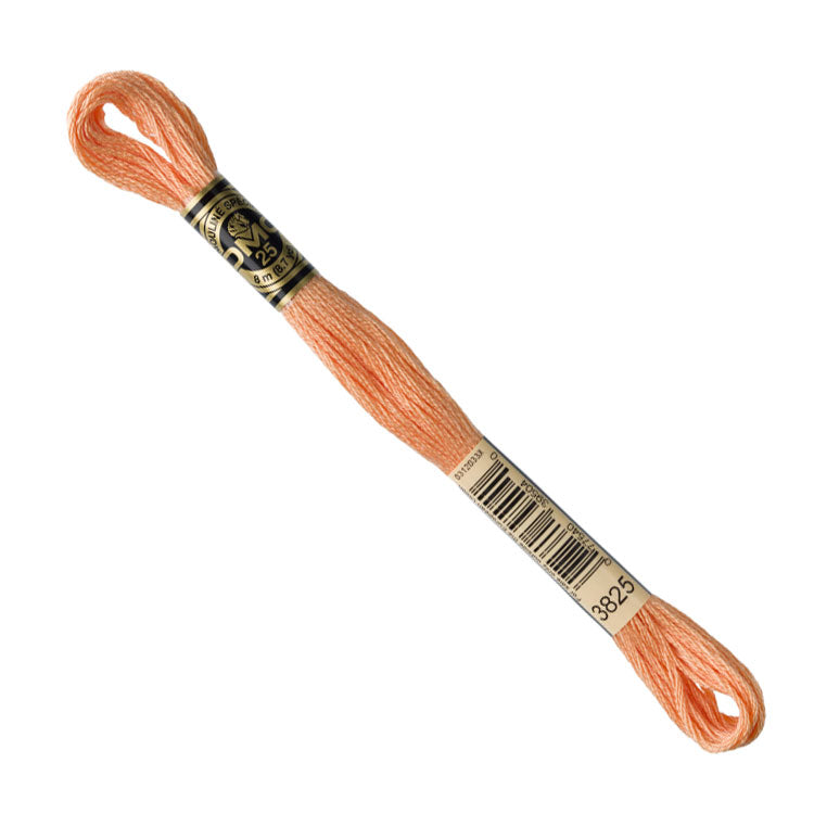 DMC Embroidery Floss - Pale Pumpkin 3825 image 1