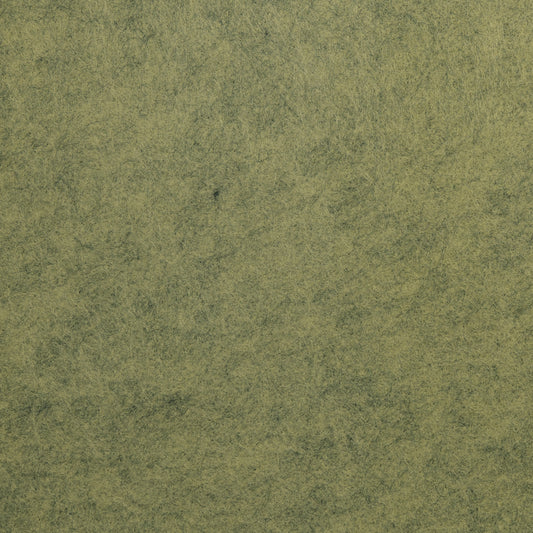 Lia Griffith Felt - Lichen image 1