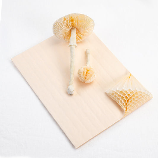 Honeycomb Paper - Cream image 1