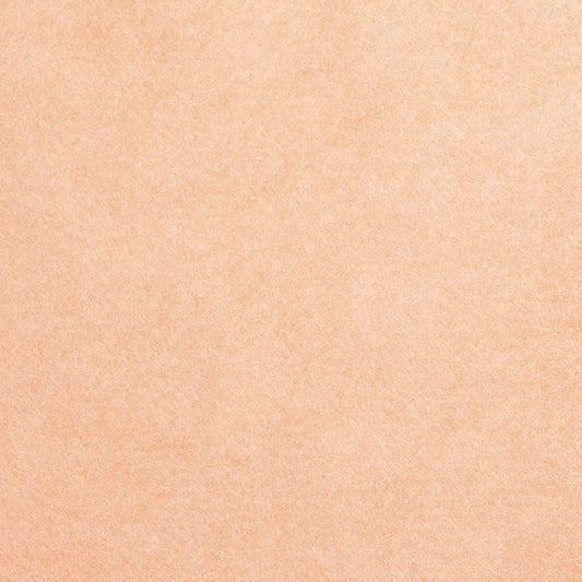 Lia Griffith Felt - Papaya image 1