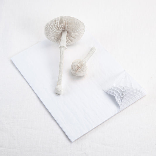 Honeycomb Paper - White image 1