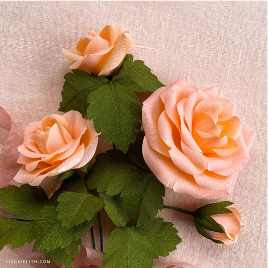 Double-Sided Crepe Paper - Honeysuckle/Coral