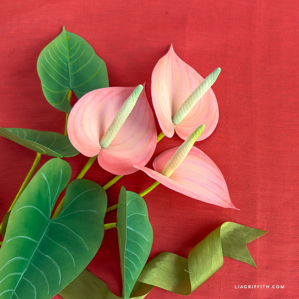 Cardstock - Rosy Cheeks