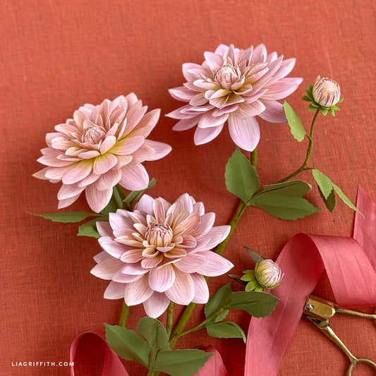 Cardstock - Pink Champagne