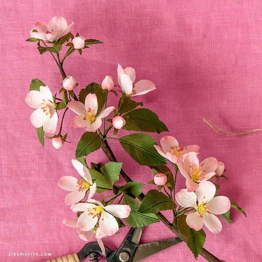 Extra-Fine Crepe Paper - Blush