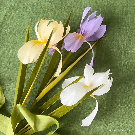 Extra-Fine Crepe Paper - Chiffon