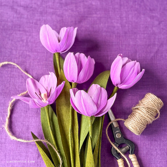 Double-Sided Crepe Paper - Light Lilac/Lilac