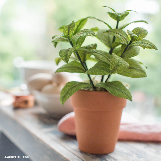 Heavy Crepe Paper - Basil