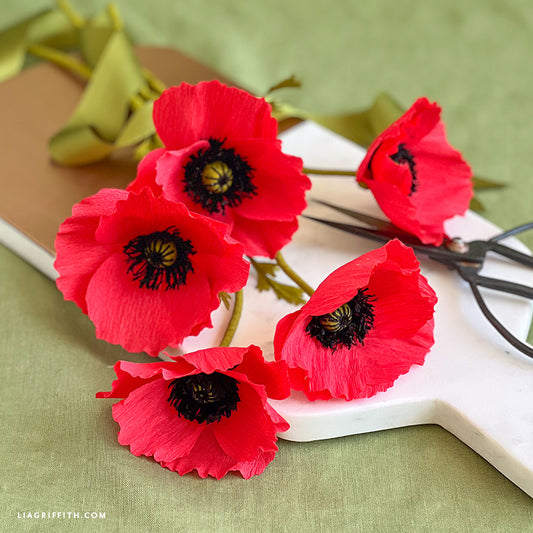 Extra-Fine Crepe Paper - Cherry