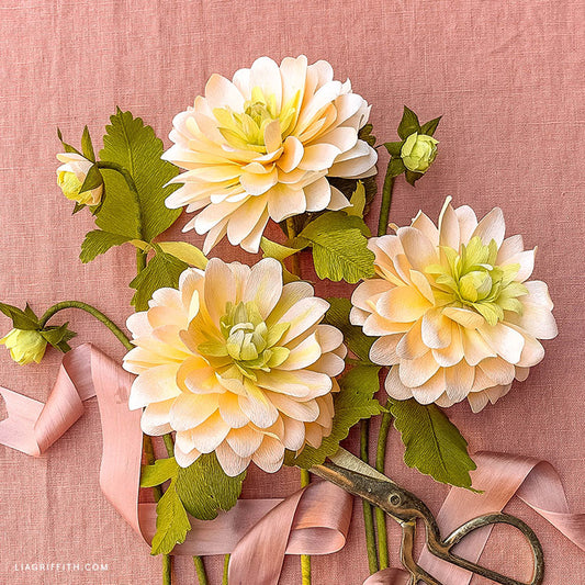 Double-Sided Crepe Paper - Blush/Chiffon