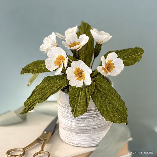 Double-Sided Crepe Paper - White/Vanilla