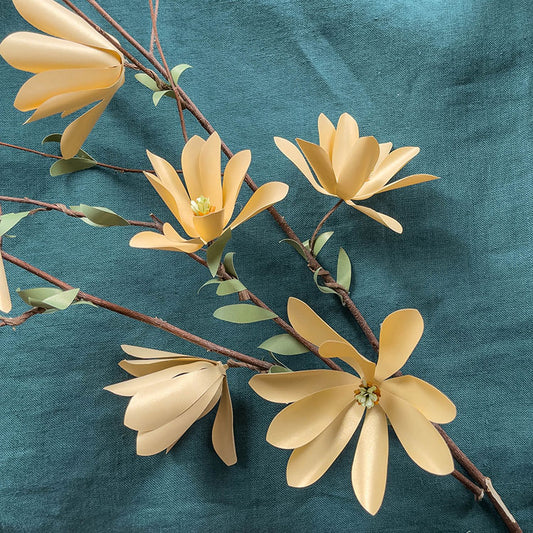 Lia Griffith Frosted Paper - Citrus Pack