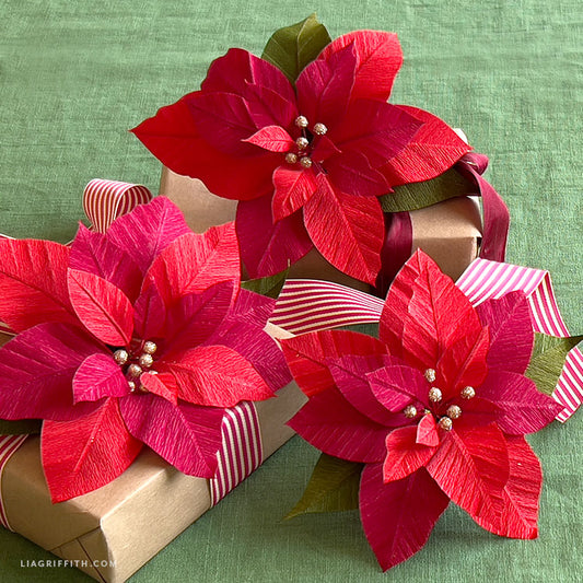 Double-Sided Crepe Paper - Sangria/Aubergine & Cherry/Raspberry