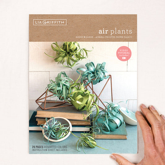 Frosted Paper Air Plants - Craft Kit image 1