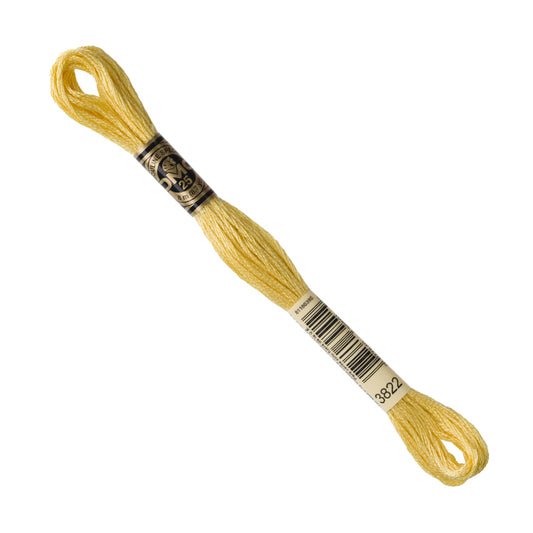 DMC Embroidery Floss - Light Straw 3822 image 1