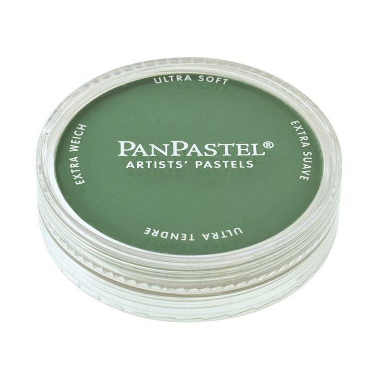 PanPastel® Artist Pastel - Permanent Green Shade 640.3 image 1