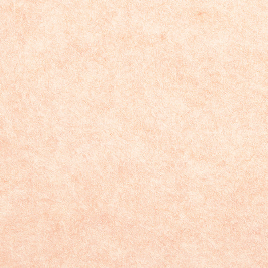 Lia Griffith Felt - Light Peach image 1