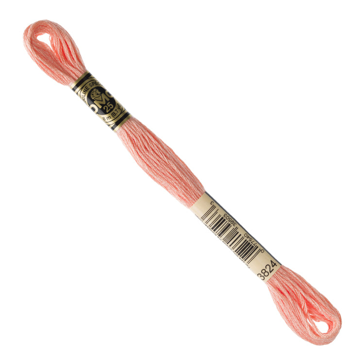 DMC Embroidery Floss - Light Apricot 3824 image 1