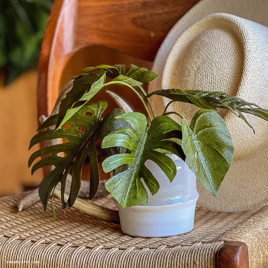 Monstera Plant Crepe Paper Flower Kit image 1