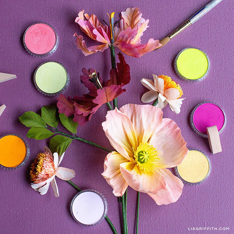 PanPastel