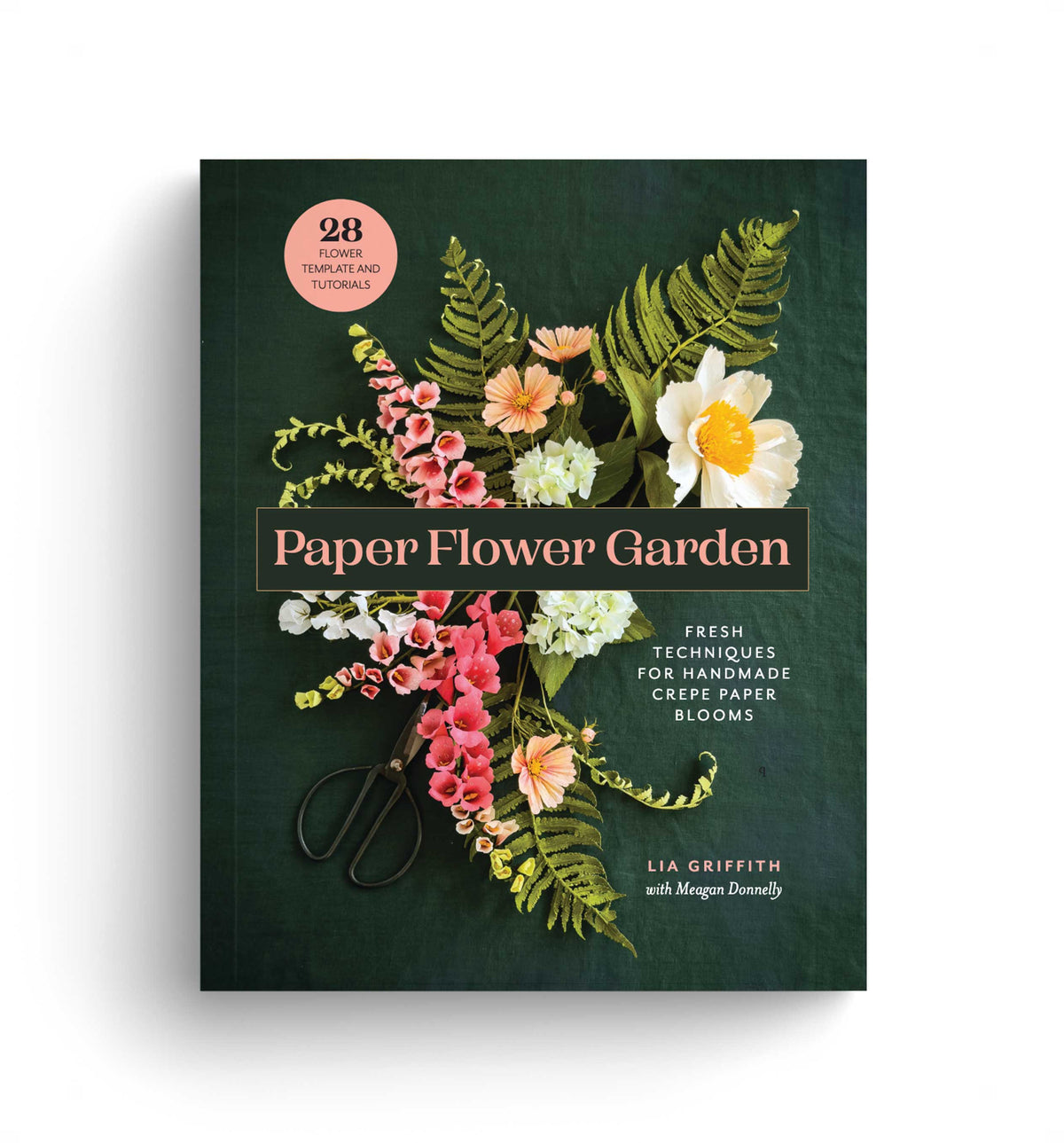 Our New Book!
