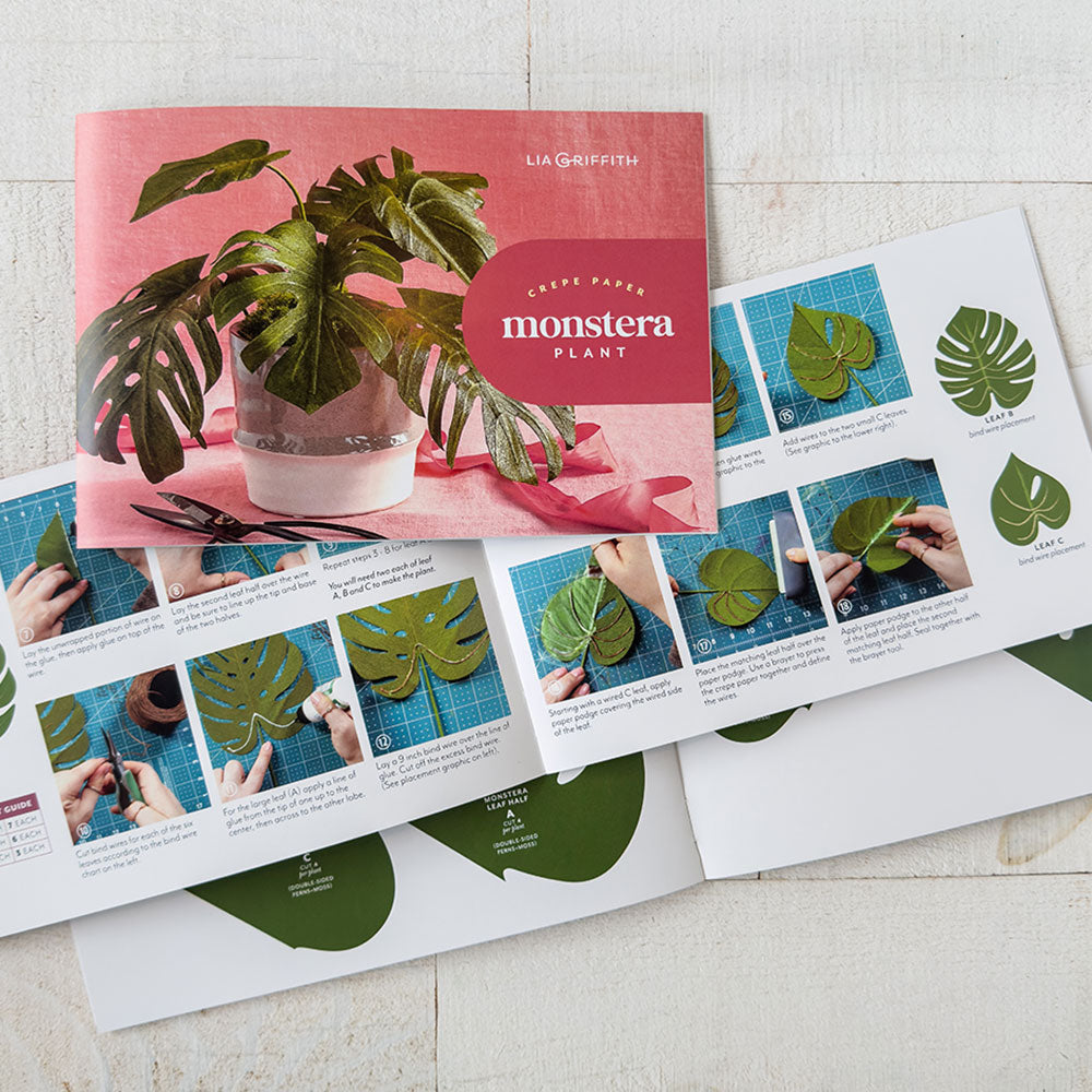 Monstera Plant Crepe Paper Flower Kit image 3