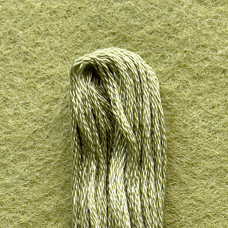 DMC Embroidery Floss - Green Gray 3053 image 0