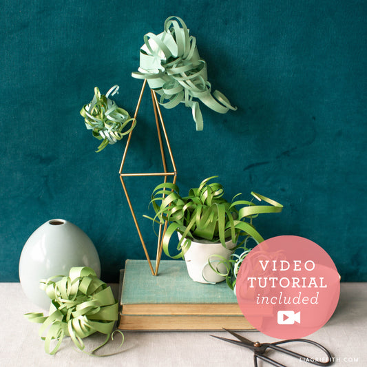 Frosted Paper Air Plants - Craft Kit image 0