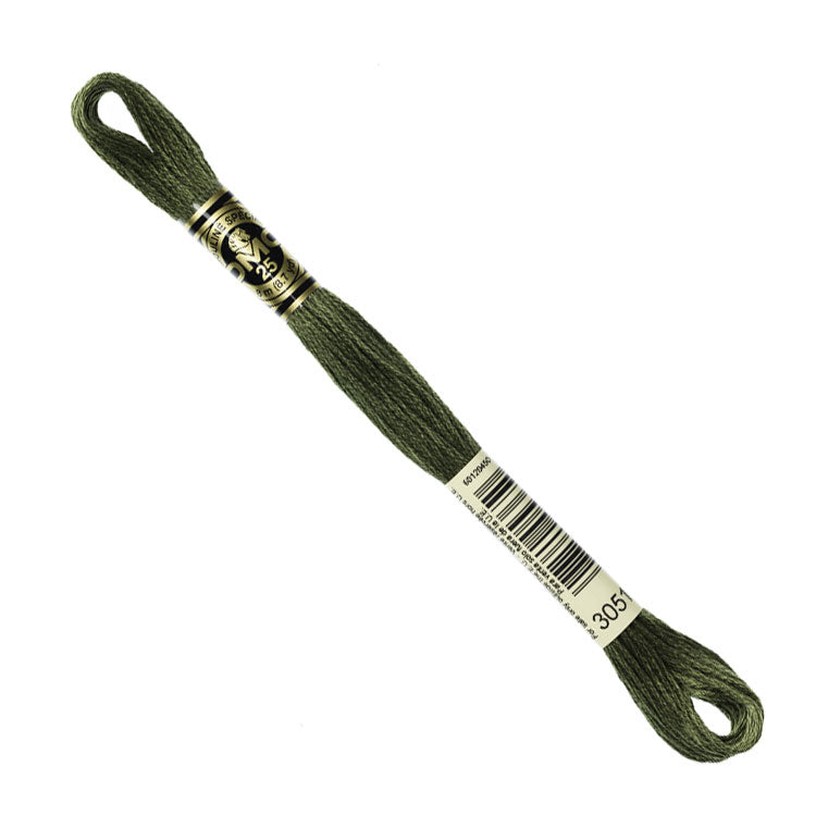 DMC Embroidery Floss - Dark Green Gray 3051 image 1