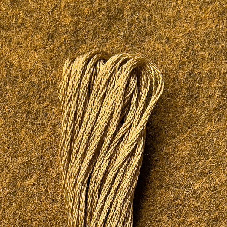 DMC Embroidery Floss - Dark Yellow Beige 3045 image 0
