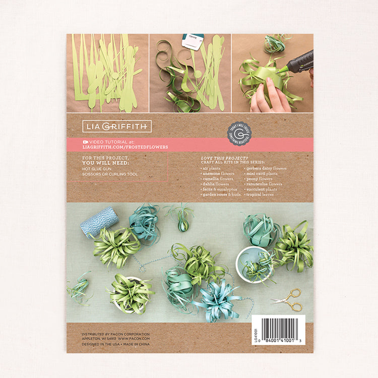 Frosted Paper Air Plants - Craft Kit image 2