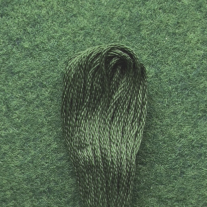 DMC Embroidery Floss - Dark Green Gray 3051 image 0