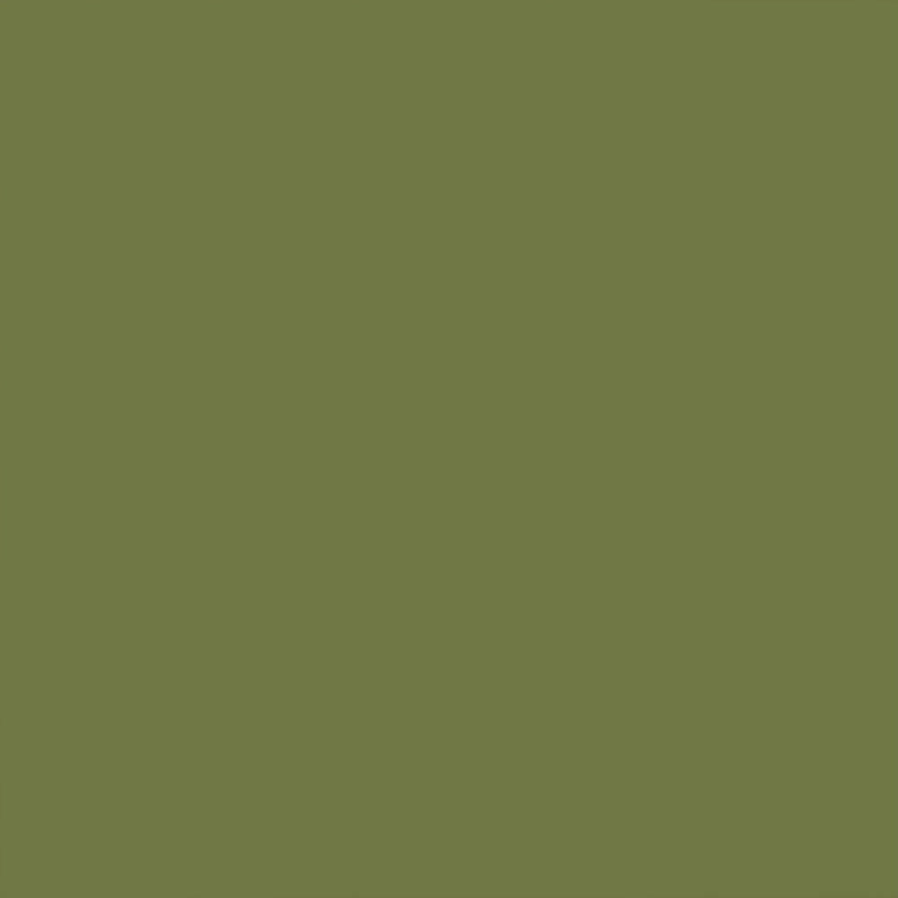 Jellybean Green smooth cardstock, 12x12 in
