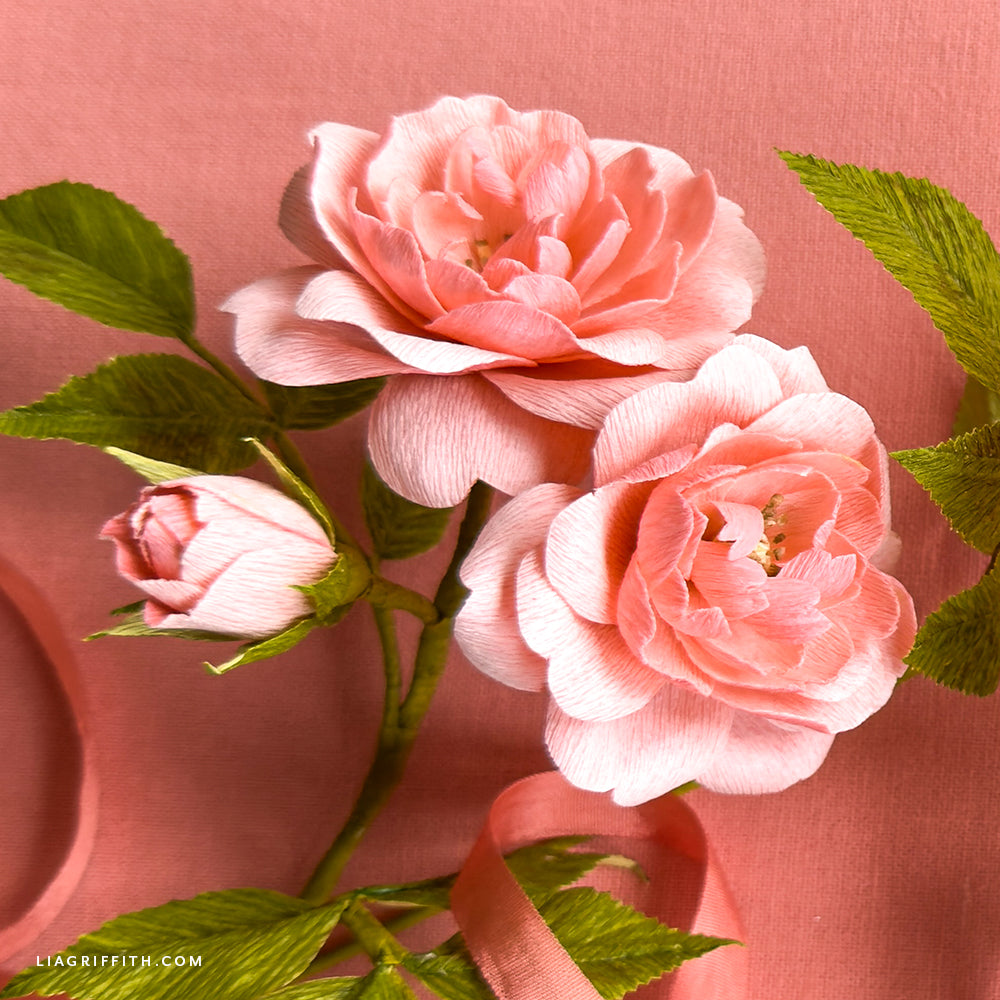 Extra-Fine Crepe Paper - Honeysuckle