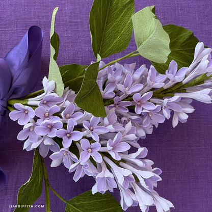 Extra-Fine Crepe Paper - Lilac