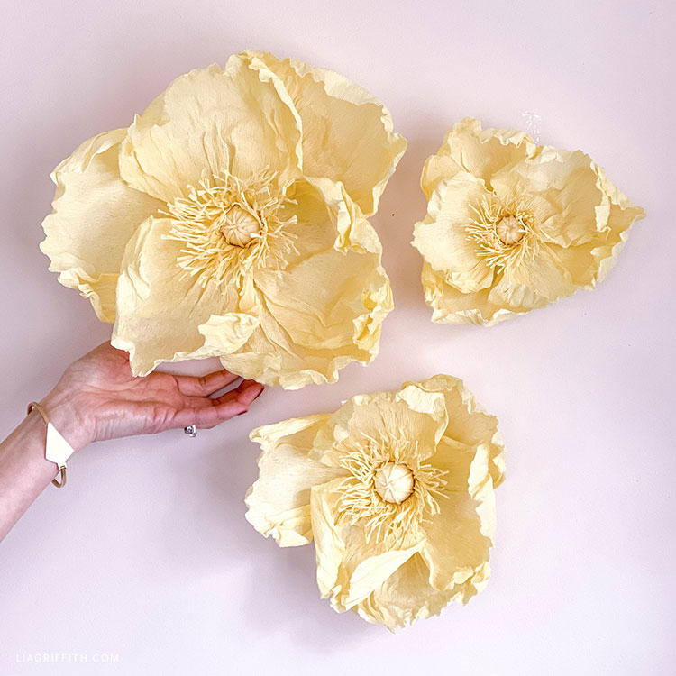 Heavy Crepe Paper - Vanilla