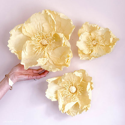 Heavy Crepe Paper - Vanilla