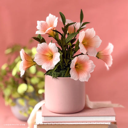 Double-Sided Crepe Paper - Peach/Petal