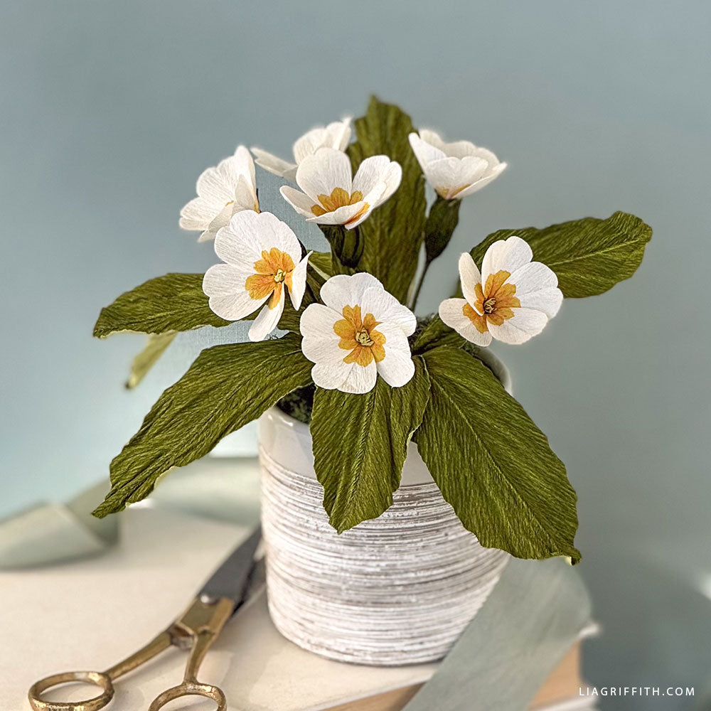 Double-Sided Crepe Paper - White/Vanilla