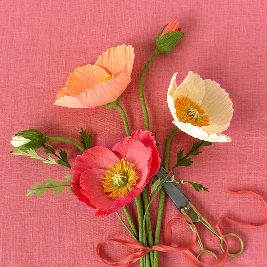 Double-Sided Crepe Paper - Apricot/Light Rose