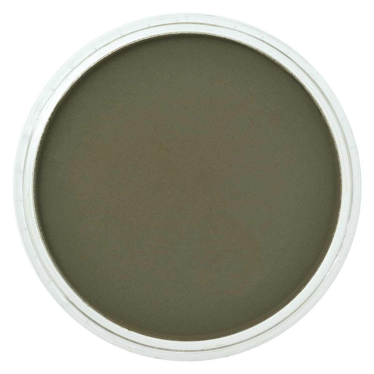 PanPastel - Bright Yellow Green Extra Dark 680.1