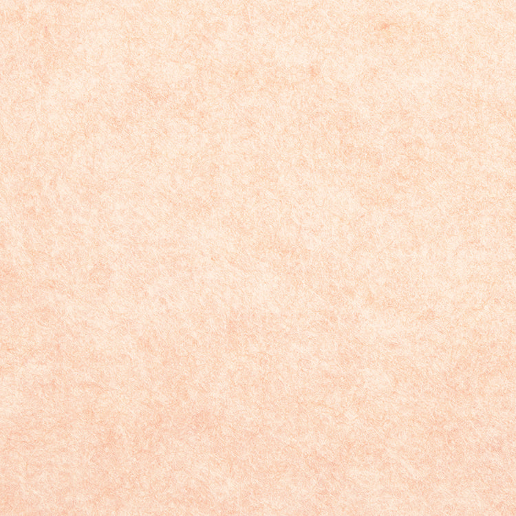 Lia Griffith Felt - Light Peach image 1