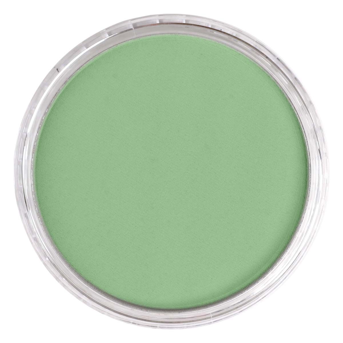 PanPastel - Chromium Oxide Green Light 660.7