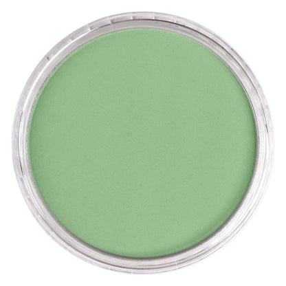 PanPastel - Chromium Oxide Green Light 660.7