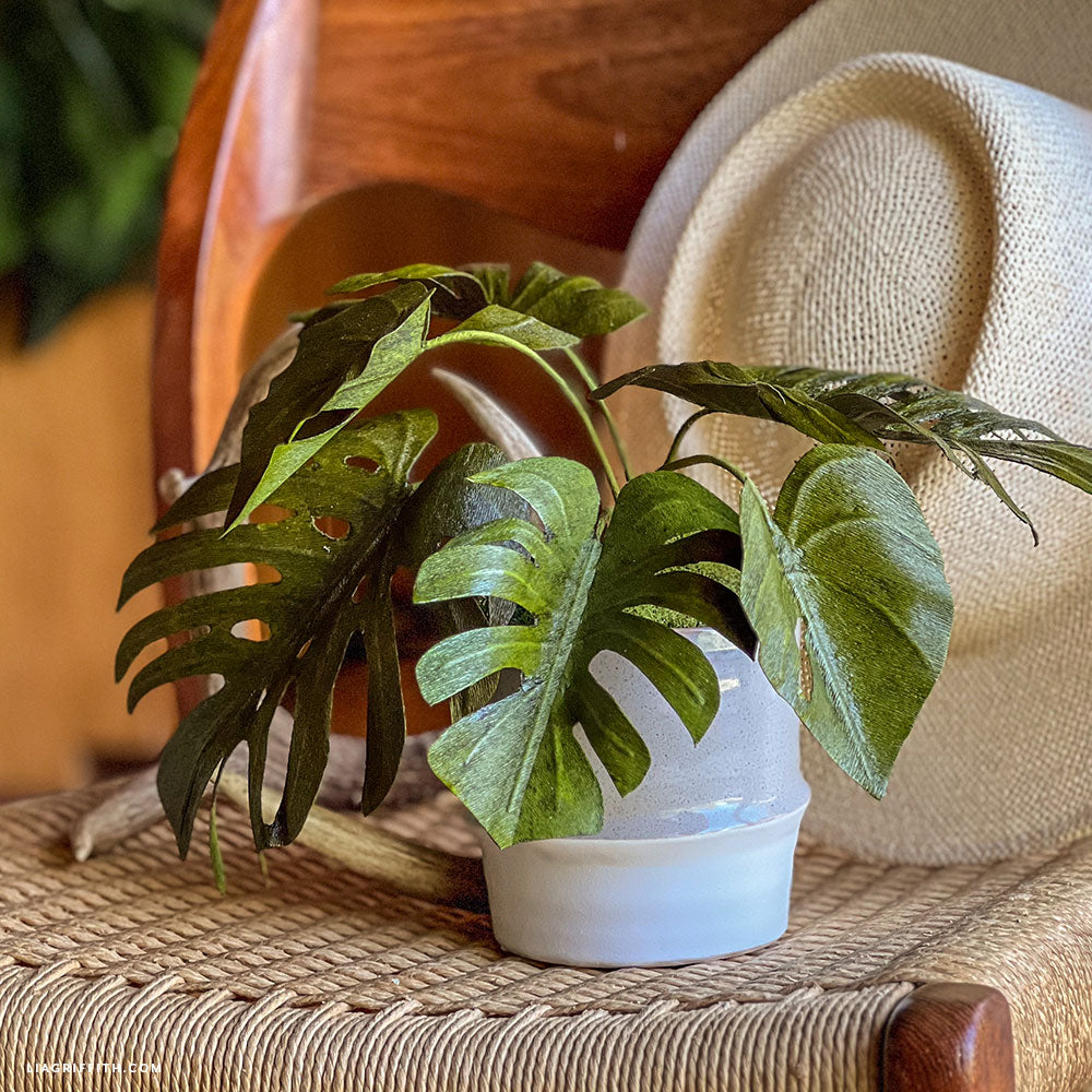 Monstera Plant Crepe Paper Flower Kit image 1