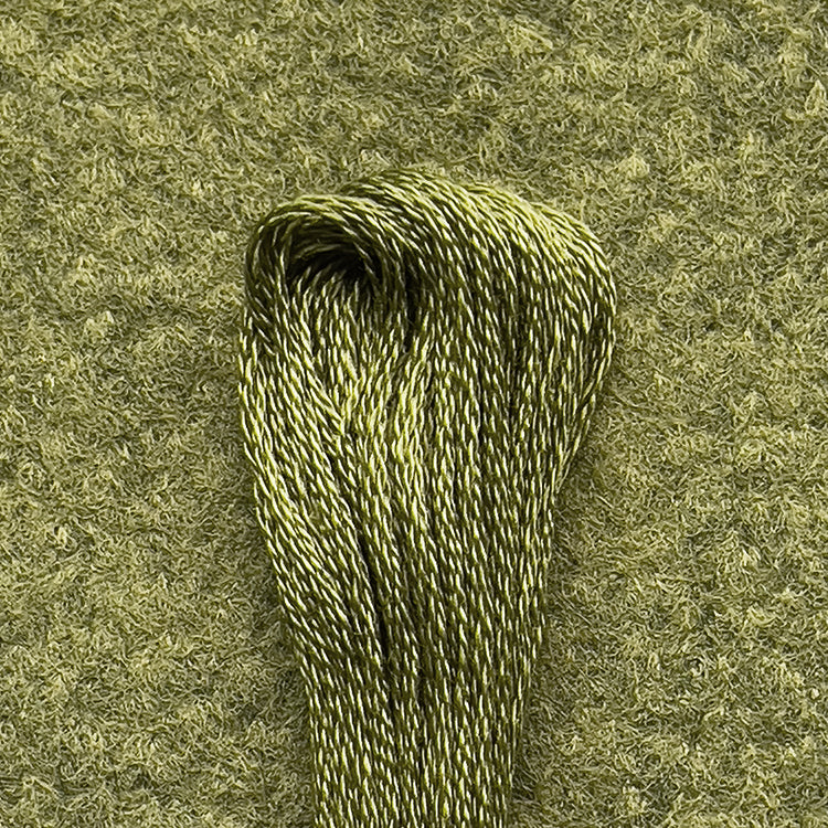 DMC Embroidery Floss - Dark Moss Green 580 image 0