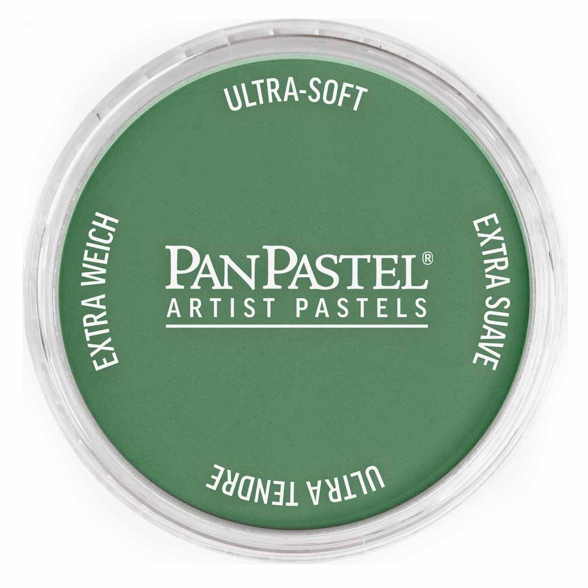 PanPastel - Permanent Green Shade 640.3