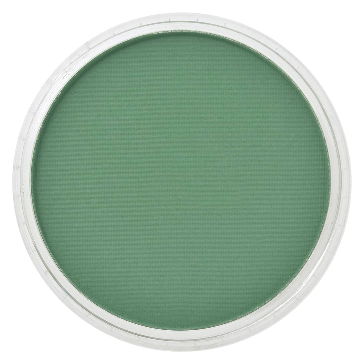 PanPastel - Permanent Green Shade 640.3